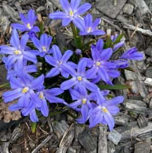 Meet your Posher, Marilou